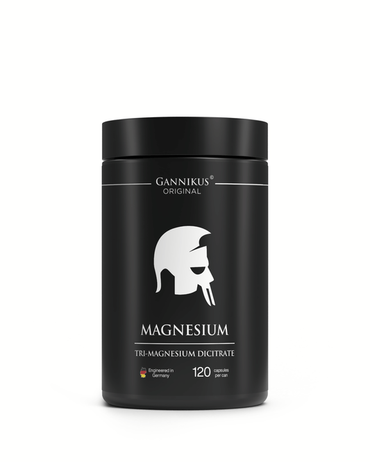 MAGNESIUM - 120 Kapseln