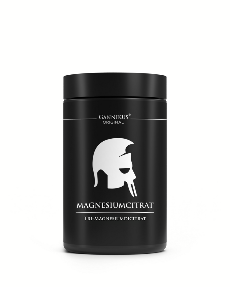 MAGNESIUM - 120 Kapseln